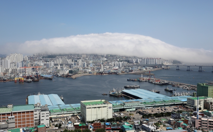 절기상 본격적인 더위가 시작된다는 소서(小暑)를 하루 앞둔 5일 오후 부산 영도구 봉래산 일대가 짙은 해무로 뒤덮여 이색적인 풍경을 연출하고 있다. 2024.7.5 뉴스1