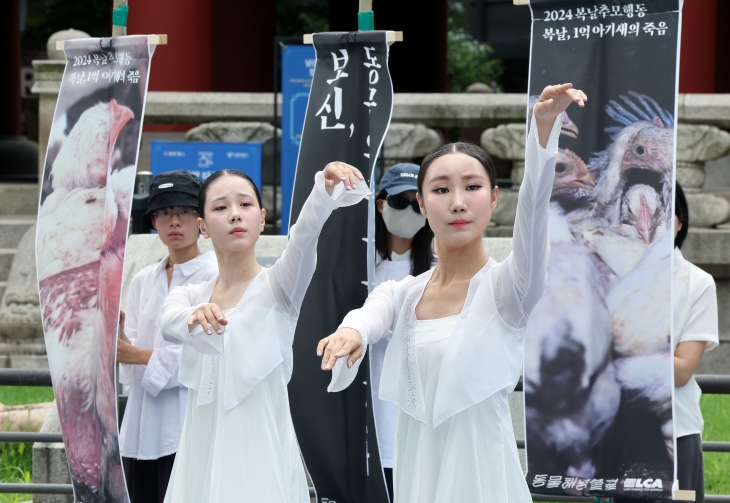 초복인 15일 서울 종로구 보신각 앞에서 열린 ‘2024 복날추모행동’에서 죽어간 닭들을 애도하는 진혼무 공연이 펼쳐지고 있다. 2024.7.15 뉴스1