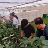 “미리 살아봐요”…양양 귀농귀촌 프로그램 운영
