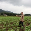 ‘벼 대신 논콩 재배’ 소득 2배 늘어