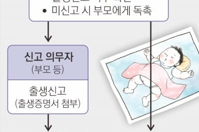 ‘그림자 아이’ 없도록… 국가가 출생 등록·익명 출산 허용한다