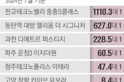 수요자는 웃고 건설사는 우는 ‘분상제’ 아파트