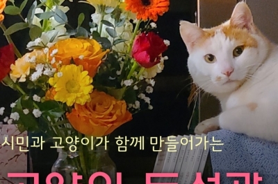 “마라도고양이 돌보는 공간 고양이도서관 함께 지어요”