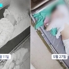 양재웅 정신병원 입원 33세女 사망에 “참담…수사 협조할 것”