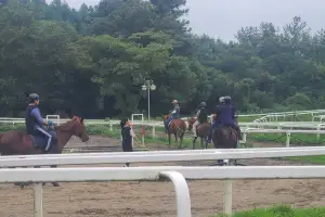 2014년 악몽은 없다… 전국체전 승마경기 이번엔 성공 해주마