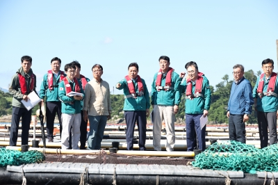 ‘양식어류 폐사 100만 마리 육박’ 경남 고수온 피해 급증