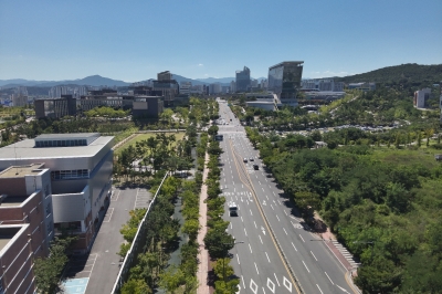 도시숲, 일상 속 ‘휴식 공간’ 넘어 기후 대응 첨병으로