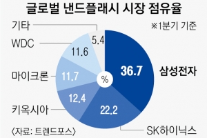 삼성, 최소형·고용량 SD카드 출시…하이닉스, 차세대 AI 메모리 공개