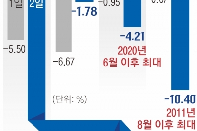 R의 공포에 AI거품론까지…엎친 데 덮친 반도체 투톱