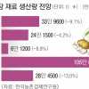 폭염 덮친 고랭지 배추… 걱정되는 김장 물가