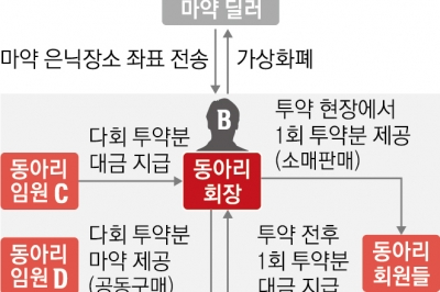 ‘마약 동아리’ 만든 명문대생들… 술·외제차에 취해 국내외 유통