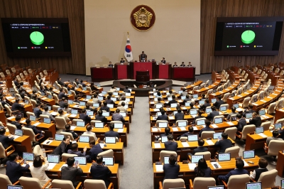 단독처리→거부권 또 악순환 정국… ‘정치 혐오’만 커진다