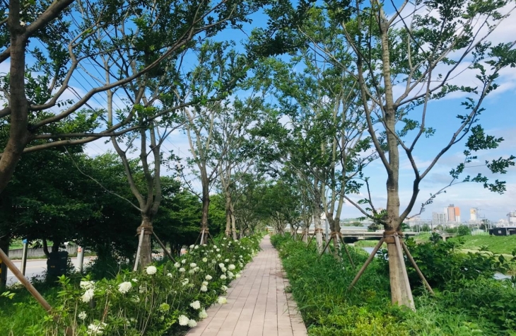 평택 바람길 숲. 경기도 제공