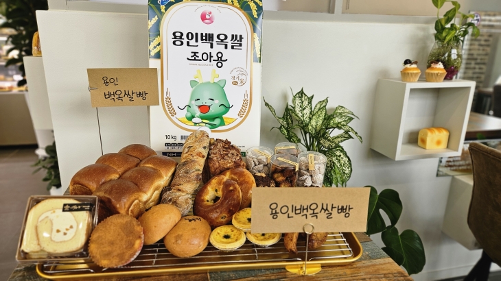 용인시는 특산물인 백옥쌀로 만든 제빵용 ‘백옥 쌀가루’를 출시했다. 사진은 ‘백옥 쌀가루’로 만든 빵.  용인시 제공