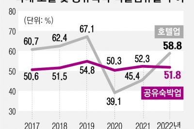 에어외국인 공유숙박 되고 내국인은 안 되고… 일상의 ‘그림자 규제’[규제혁신과 그 적들]