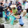 ‘반갑다 전어야’··· 보성·광양 전어축제