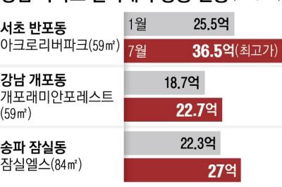 강남 속 ‘찐강남’… “반포·개포·잠실 집값 더 올랐네”