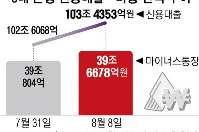 폭락장 속 위험한 부채… ‘마통 잔액’ 5800억 늘어