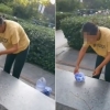 플라스틱 통 열자 우르르…아파트에 바퀴벌레 풀어놓는 여성 포착