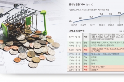 1970년대에 멈춰선 개별소비세…16년째 제자리 자녀소득공제[규제혁신과 그 적들]