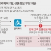 정보 유출? 위·수탁 업무?… 금감원, 카카오페이 제재 착수