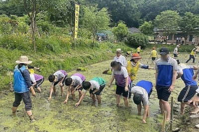 은평 농업학교 체험 청소년 꿈이 ‘무럭무럭’