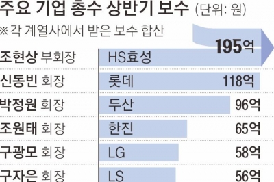 총수 연봉킹 조현상 195억·신동빈 118억… 경영인 백우석 248억