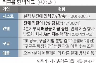 IT공룡들 실적 부진 먹구름… 꿈쩍 않던 아이폰도 삼성페이 개방하나