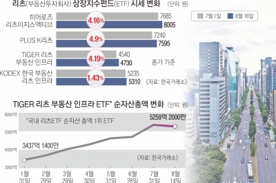 금리 인하 기대감·규제 완화… 리츠 ETF 놓치면 땅 치고 후회?