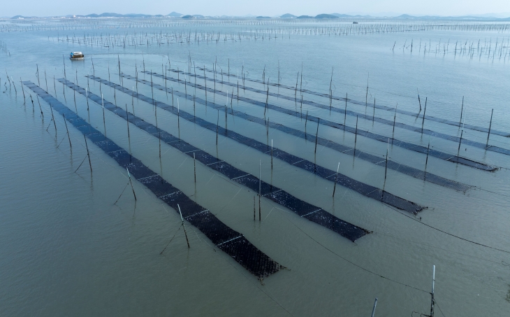 고소득어가- 신안 김 양식장. 전남도 제공