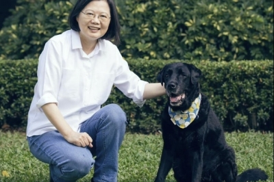 전직 국가원수가 ‘은퇴 안내견’ 입양한 이 나라