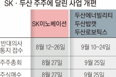 사업 재편 앞둔 SK·두산… ‘주주의 시간’ 열린다