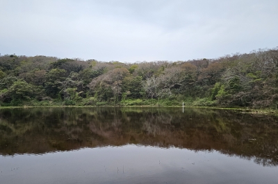 9개마을서 19개마을로… 제주, 생태계서비스지불제 확대 추진