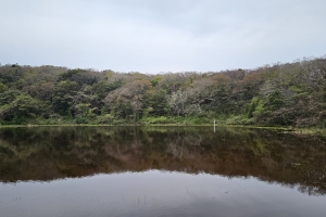 9개마을서 19개마을로… 제주, 생태계서비스지불제 확대 추진