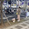길거리 대변에 버스 흡연까지…제주 ‘민폐 관광객’에 초등학생도 나섰다