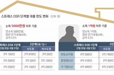 새달 스트레스 DSR 2단계… 신용대출 정리하고 정책대출 활용