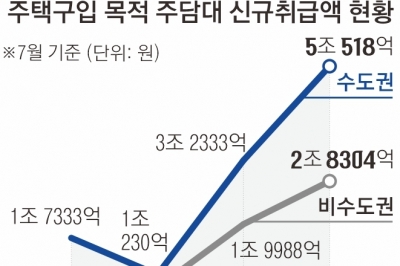 3년 새 2배 이상 늘어난 ‘영끌’…DSR 넘어 LTV 규제도 검토