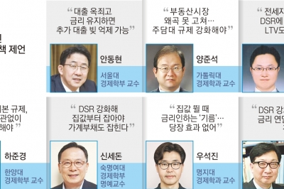 “DSR 강화로 가계빚 억제… 금리 내리면 불에 기름 끼얹는 꼴”