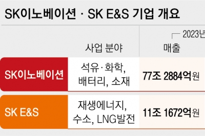 100조 ‘에너지 공룡’ 8부 능선… SK “주식 청구권도 문제없어”