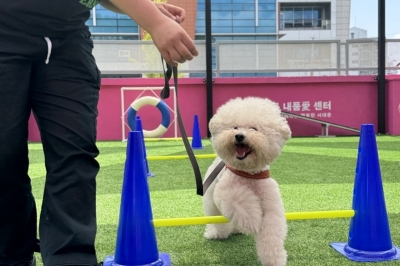 서대문 “추석 연휴 반려견 돌봐드려요”