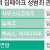 ‘합성수준 낮다’ ‘범죄수익 적다’… 딥페이크 범죄 ‘솜방망이’ 처벌