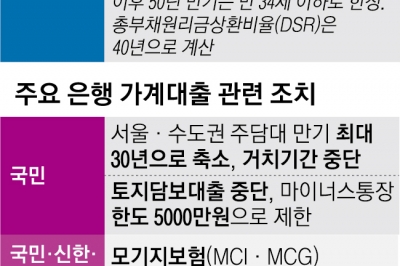 ‘50년 대출’ 권하더니 ‘영끌 손절’… 냉온탕 정책, 가계빚 키웠다