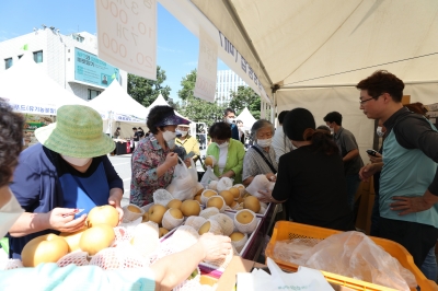 강남구민 추석 먹거리 부담 없이 사세요