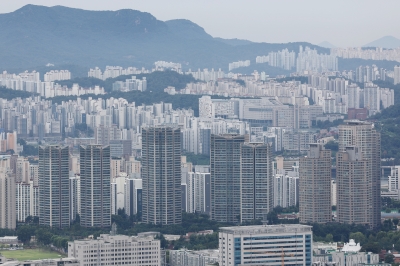 “직업은 국회의원, 강남에 똘똘한 집 있습니다”