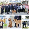 충견의 상징 ‘오수개’ 국제 고유 품종으로 정식 인정