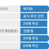 난관 부딪힌 지자체 통합 시도… 메가시티 ‘신기루’에 그치나