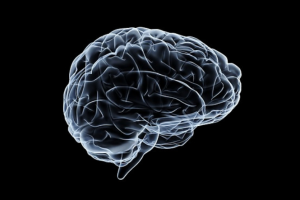 “미세 플라스틱, 신체 ‘이곳’에 가장 많이 쌓인다”…‘충격’ 연구 결과