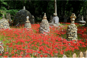 여수 흥국사, ‘108돌탑 꽃무릇 음악회’ 14일 열려