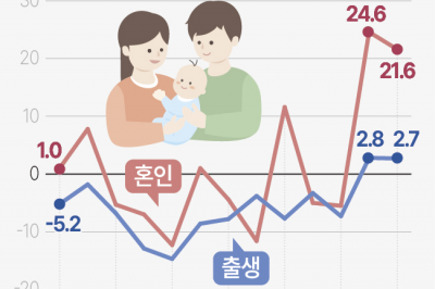 [숫자로 읽는 세상] “서울 사람은 아이 늦게 낳는다” 사실이었다