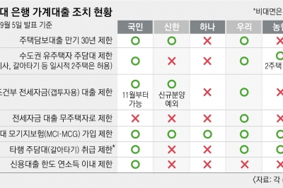 고무줄 대출 ‘은행 뺑뺑이’